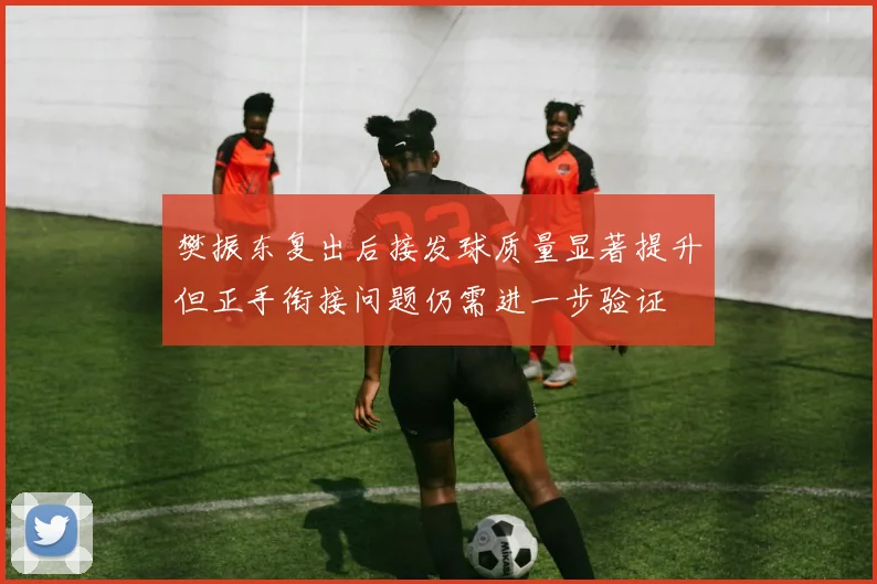 樊振东复出后接发球质量显著提升但正手衔接问题仍需进一步验证